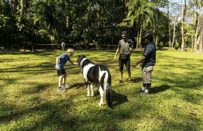 Quepos Food Tour & Cooking Class - Photo 4