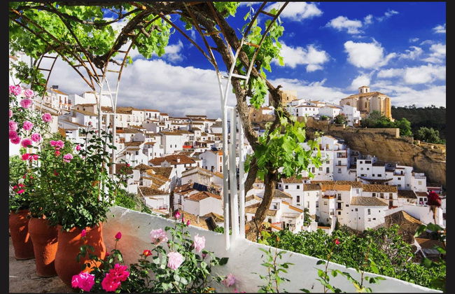 Excursión a Ronda y Setenil - Foto 7