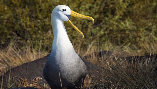 Escursione a Hispaniola - Foto 3