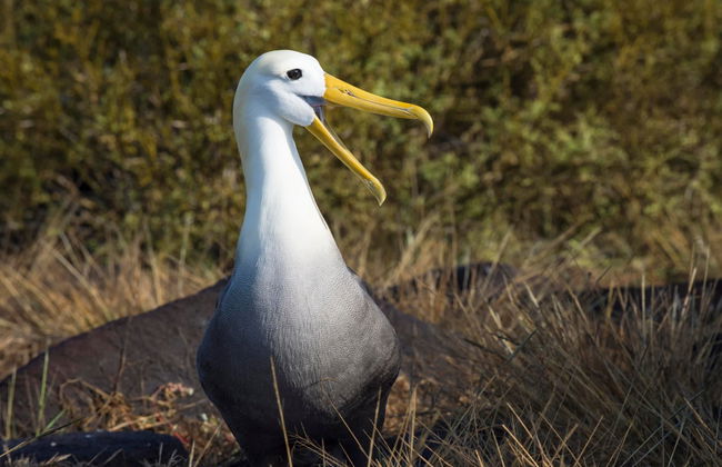 Española Island Day Trip - Foto 3