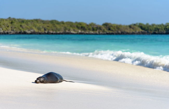 Española Island Day Trip - Foto 1