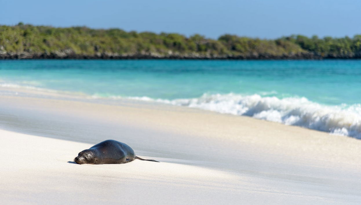 Escursione a Hispaniola - Foto 1