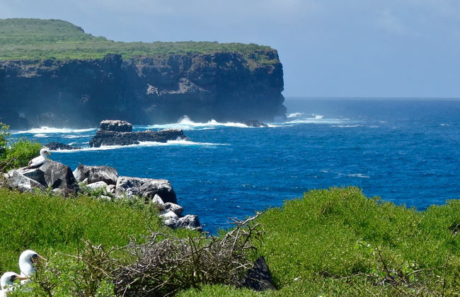 Excursion à l'île Española - Photo 3