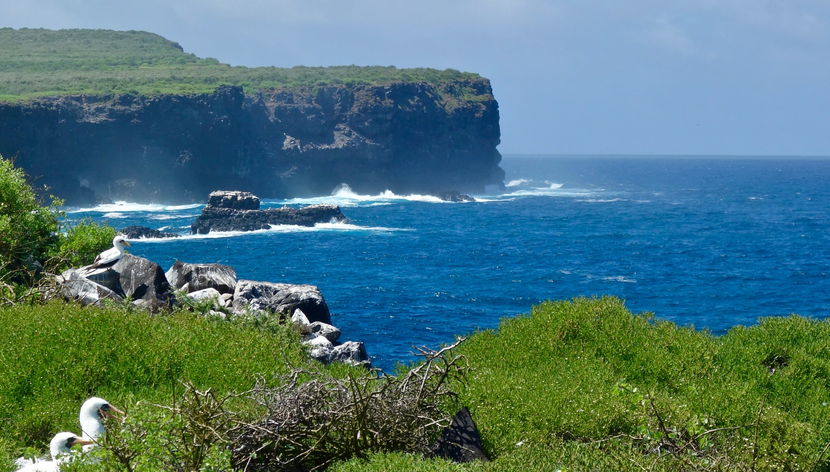 Excursion à l'île Española - Photo 3