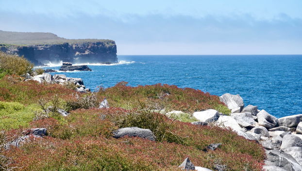 Escursione a Hispaniola - Foto 4