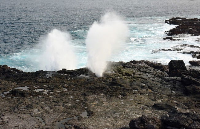 Excursion à l'île Española - Photo 1