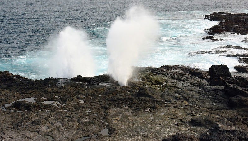 Excursion à l'île Española - Photo 1