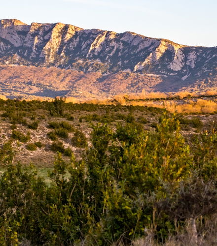 Photo - Excursion au Pic Saint-Loup
