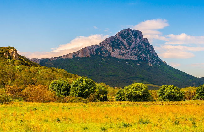 Pic Saint-Loup Excursion + Wine Tasting - Photo 5