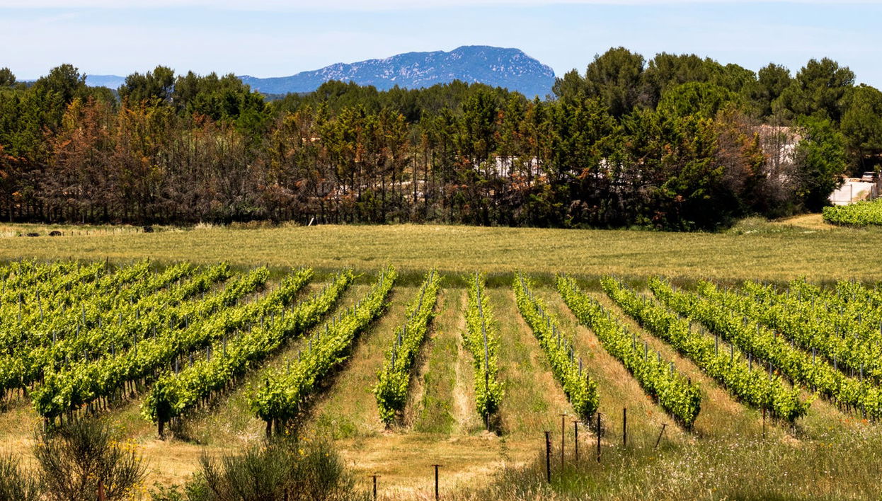 Excursión al pico Saint-Loup - Foto 1