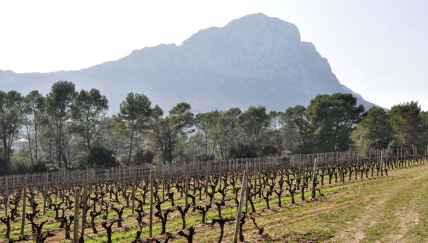 Excursión al pico Saint-Loup - Foto 4