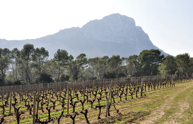 Pic Saint-Loup Excursion + Wine Tasting - Photo 4