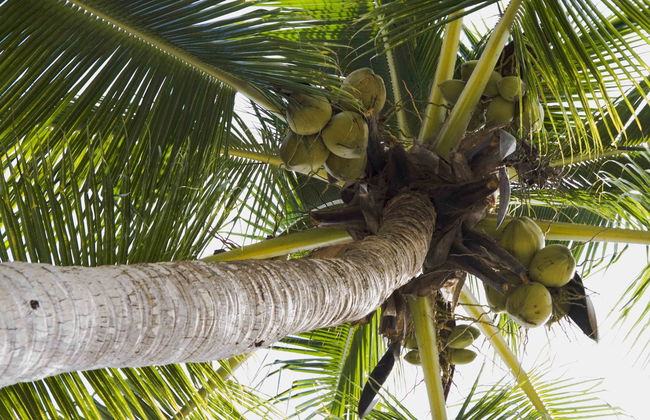 Excursión a la playa Las Gatas - Foto 4