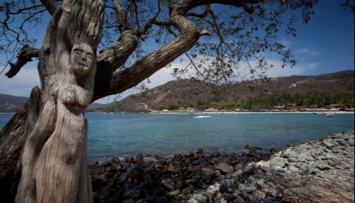 Excursión a la playa Las Gatas - Foto 1