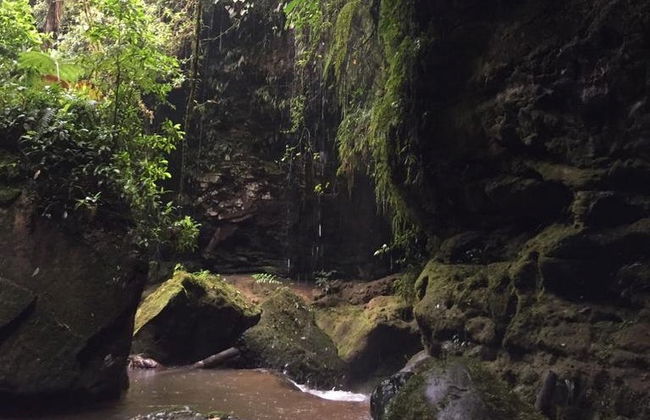 Excursión al Gran Cañón de Cotundo - Foto 7
