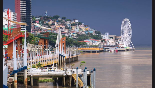 Guayaquil City Tour & Historic Park - Photo 3