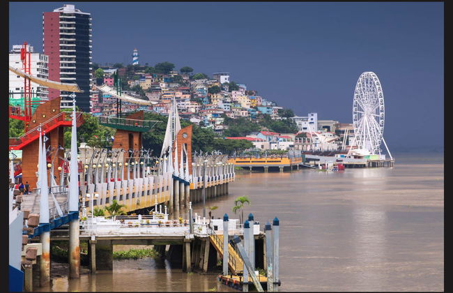 Guayaquil City Tour & Historic Park - Photo 3