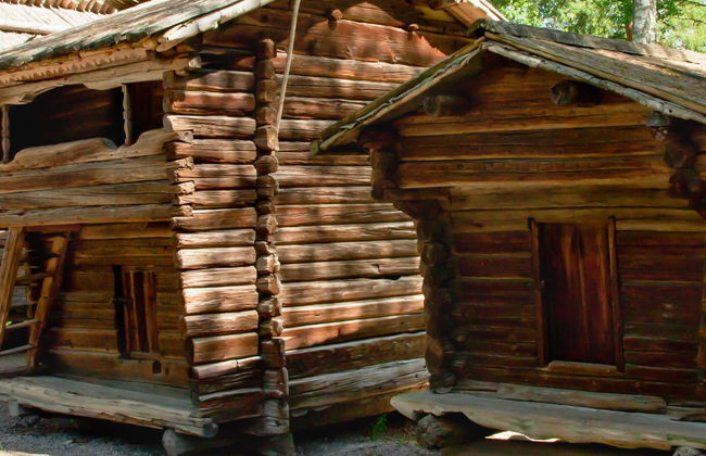 Tour por Helsinki + Museo al aire libre de Seurasaari - Foto 6