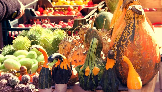 Latvian Food Tasting Tour - Foto 4