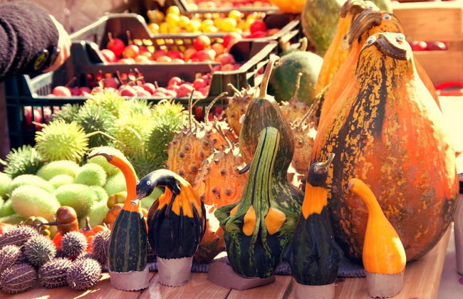 Latvian Food Tasting Tour - Photo 4