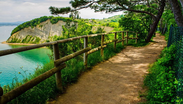 Parenzana Trail Bike Tour - Photo 5