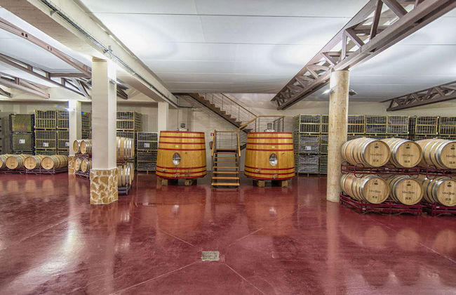Visita a la bodega Mont Reaga - Foto 2