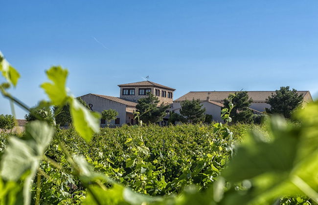 Visita a la bodega Mont Reaga - Foto 8