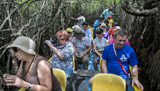 Excursão privada a Balapitiya + Criadouro de tartarugas de Kosgoda - Foto 4