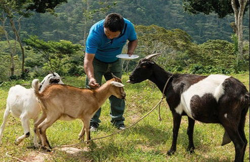 Tour del café orgánico por la finca Rainforest - Foto 2
