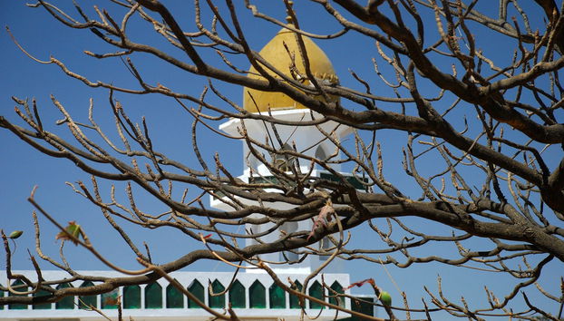 Tour privado por las montañas y valles del sur de Omán - Foto 4