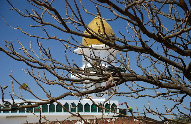 Tour privado por las montañas y valles del sur de Omán - Foto 4