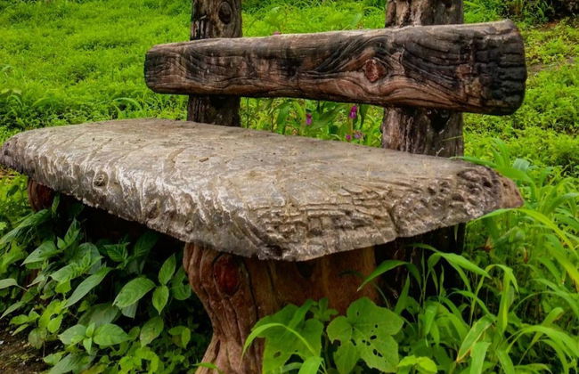 Tour privado por las montañas y valles del sur de Omán - Foto 7