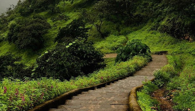 Tour privado por las montañas y valles del sur de Omán - Foto 5