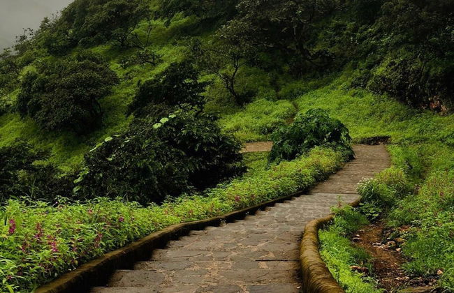Tour privado por las montañas y valles del sur de Omán - Foto 5