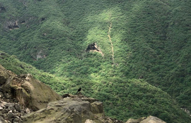 Tour privado por las montañas y valles del sur de Omán - Foto 6