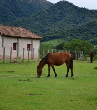 Foto de Tour de 3 días por los valles de Tarija