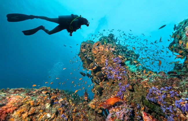 Buceo en Maafushi - Foto 1