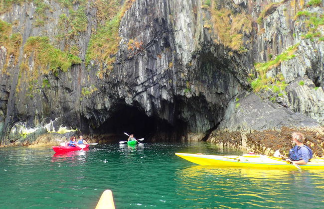 Tour en kayak por la bahía de Castlehaven - Foto 3
