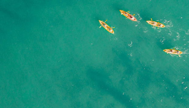 Tour en kayak por Byron Bay - Foto 5