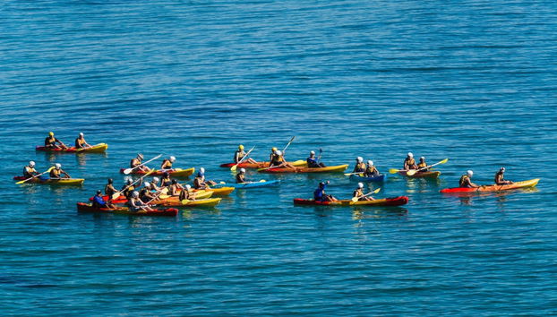 Tour en kayak por Byron Bay - Foto 2