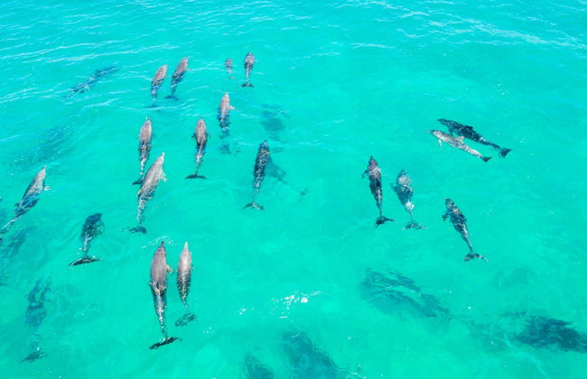 Tour en kayak por Byron Bay - Foto 3