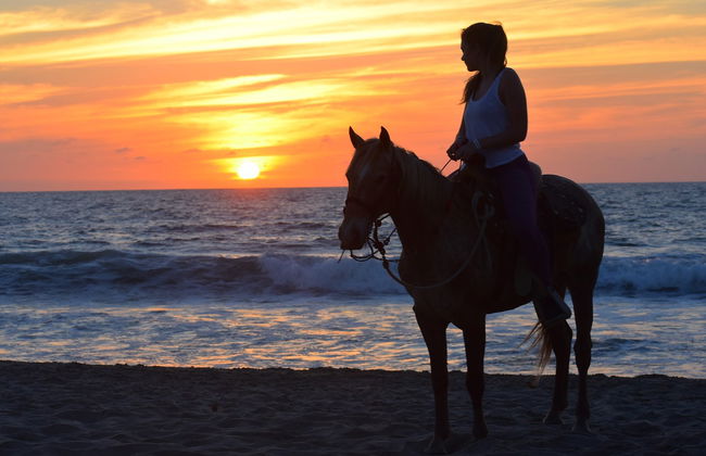 Balade à cheval dans la Riviera Nayarit - Photo 5