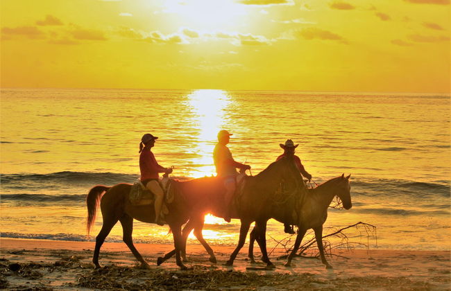 Balade à cheval dans la Riviera Nayarit - Photo 8