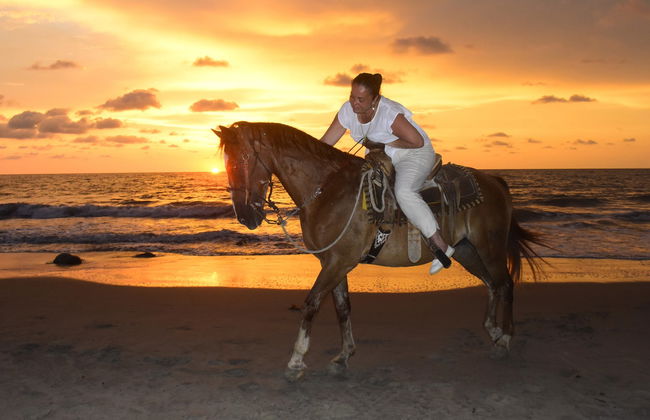 Balade à cheval dans la Riviera Nayarit - Photo 2