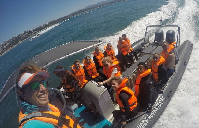 Nado con leones marinos en Plettenberg Bay - Foto 3