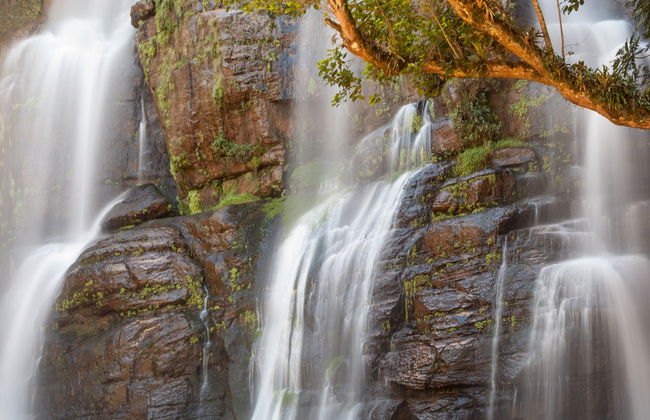Excursión a Castro y el Cañón Guartelá - Foto 6