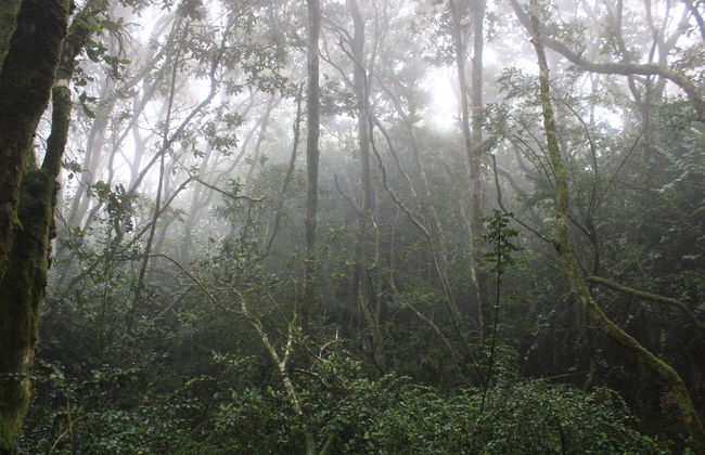 Fray Jorge National Park Trip - Photo 3