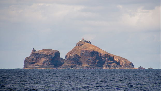 Ponta de Sao Lourenço Cruise - Photo 2