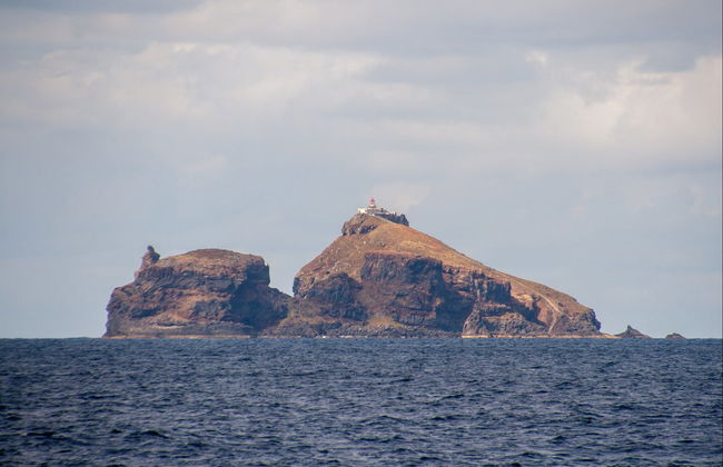 Ponta de Sao Lourenço Cruise - Foto 2