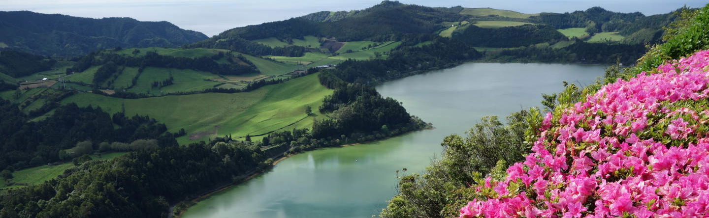Furnas Day Trip + Gorreana Tea Plantations - Foto 1